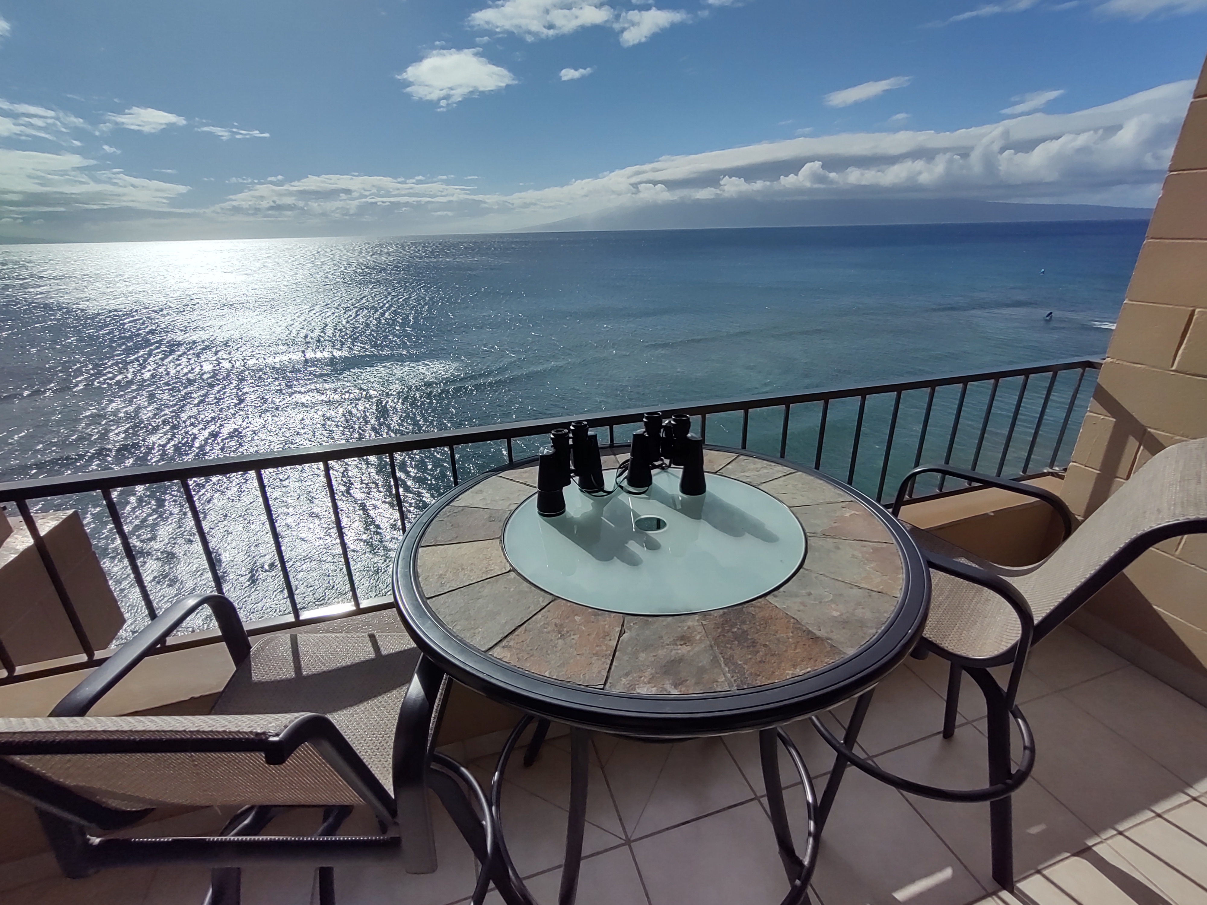 Direct Ocean Views, Perfect for Whale Watching