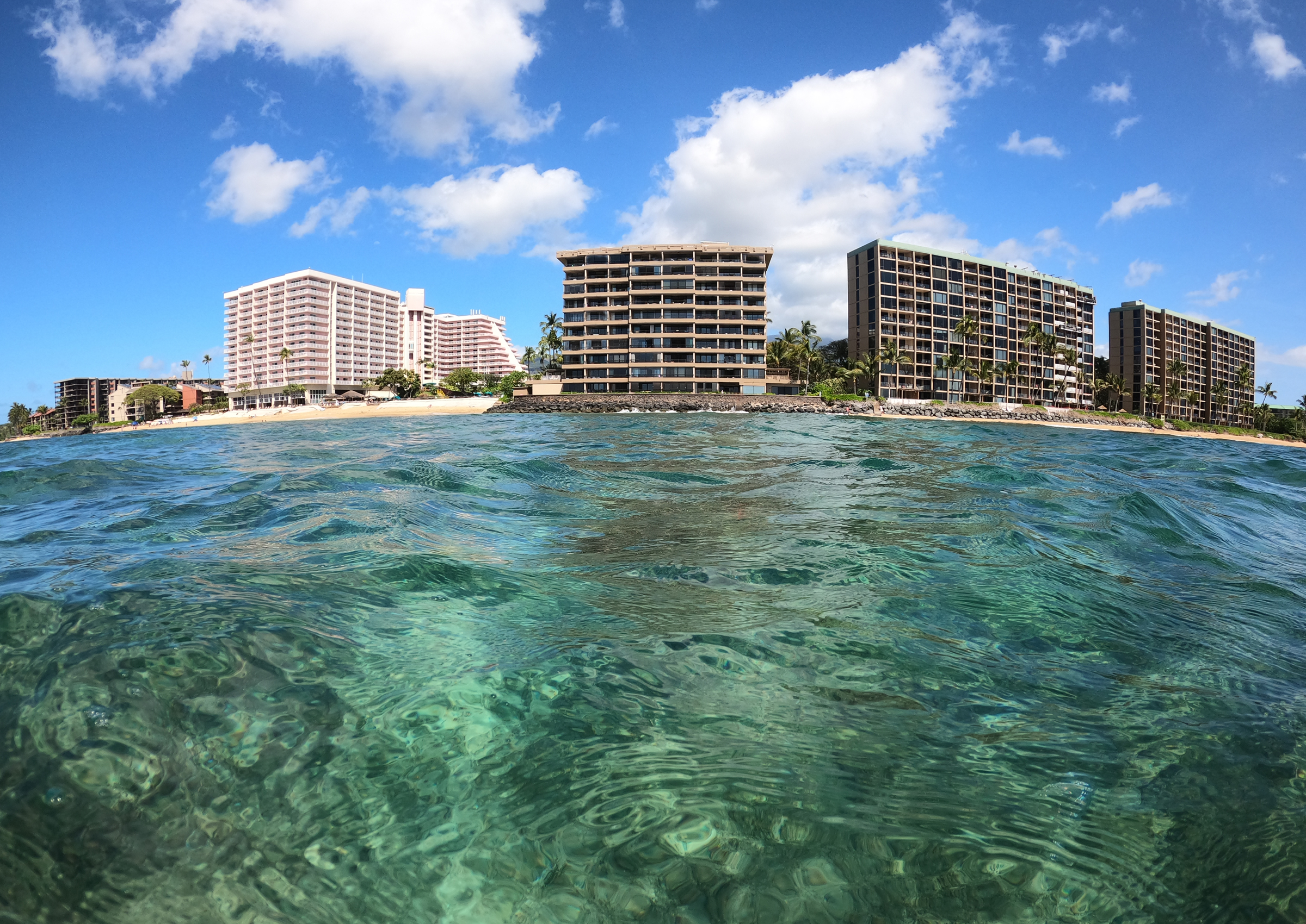 Maui Oceanfront Coffee View